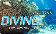 Diving by Jc...Tour Phuket