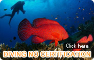 Diving no Certification