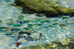 3 Eggs Island and Pearl Island Half Day Trip by JC Tour 3 Eggs Island and Pearl Island Half Day Trip by JC Tour