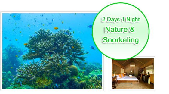 2Days1Night Nature and Snorkeling