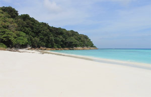 Tachai Island : JC Tour