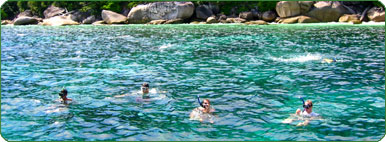 Enjoy with Snorkeling to see underwater world. 