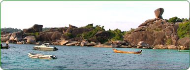 Fishes and coral reef under the crystal clear sea water is waiting you to discovery.