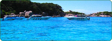Fishes and coral reef under the crystal clear sea water is waiting you to discovery.