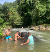 Song-Prak: ATV Ride and Elephant Bathing