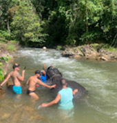 Song-Prak: ATV Ride and Elephant Bathing