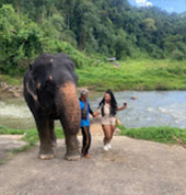 Song-Prak: ATV Ride and Elephant Bathing