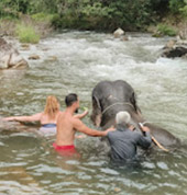 Song-Prak: ATV Ride and Elephant Bathing