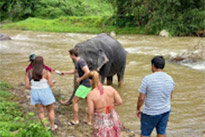 Song-Prak: ATV Ride and Elephant Bathing