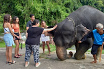 Song-Prak: ATV Ride and Elephant Bathing