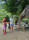 Song-Prak: ATV Ride and Elephant Bathing