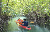 The Bay Kayak by Wooden Local Boat