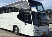 VIP Big Bus Service