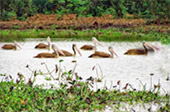 Angkor Wat 2 days 1 night