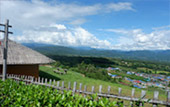 7 Days: New Black Bangkok Chiangmai Pai