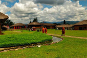 7 Days: New Black Bangkok Chiangmai Pai