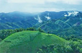7 Days: New Black Bangkok Chiangmai Pai