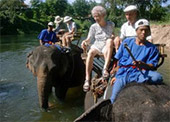 RiverKwai, Elephant, Bamboo Rafting
