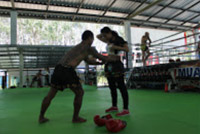 Thai Boxing Course Train for Life