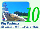 Big Buddha + Elephant Trek