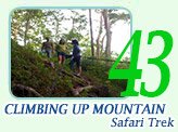 Climbing Up Mountain Safari Trek