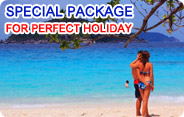 Special Package for Perfect Holiday Special Package for Perfect Holiday
