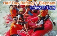 Half Day Rafting and Elephant Trekking Half Day Rafting and Elephant Trekking