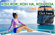 Koh Rok Koh Ha Koh Pida Day Trip Koh Rok Koh Ha Koh Pida Day Trip