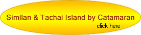 Similan Tachai Island by Catamaran
