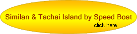 Similan Tachai Island by Speed Boat