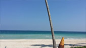Running Bullock Beach of Chumphon