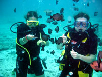 Advanced Open Water Diver course