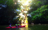 Cave Temple and Mangrove Kayaking Day Trip