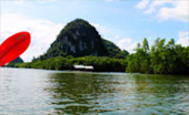 Cave Temple and Mangrove Kayaking Day Trip