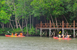 Koh Pitak-Island - Living life with local island