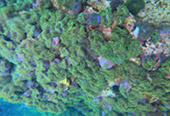 2Days1Night: Chumphon Archipelago
