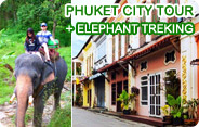 Phuket City Tour and Elephant Trekking