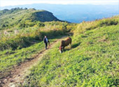 3 Mountains  + Chiang Kham