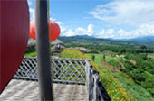 Pai Maehongson 2Days 1Night