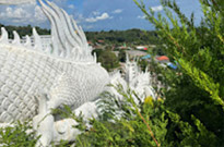 Buddhist Art of Temples in North