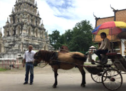 Chiangmai Concerns : JC Tour