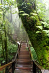Doi Inthanon National Park