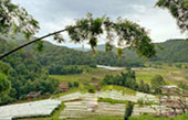 Pha Dok Siew Nature Trail