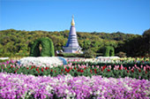Edge of North: Chiangmai - Chiangrai