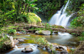 Hiking and Discovery Doi Inthanon