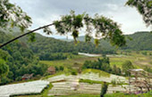 Hiking and Discovery Doi Inthanon