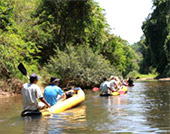 Chiang Down jungle river