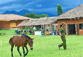 Pai Maehongson 2Days 1Night