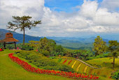 Magic Town in nature. - Pai District