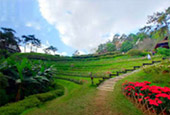 Magic Town in nature. - Pai District